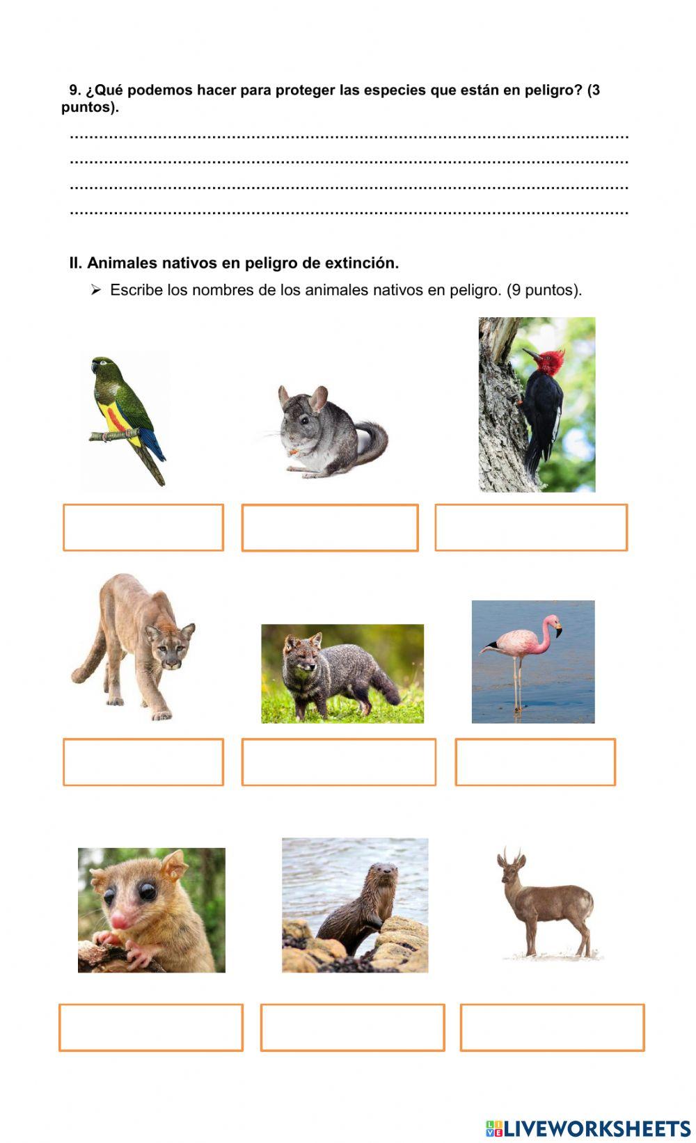 Evaluación Ciencias Naturales 2do básico