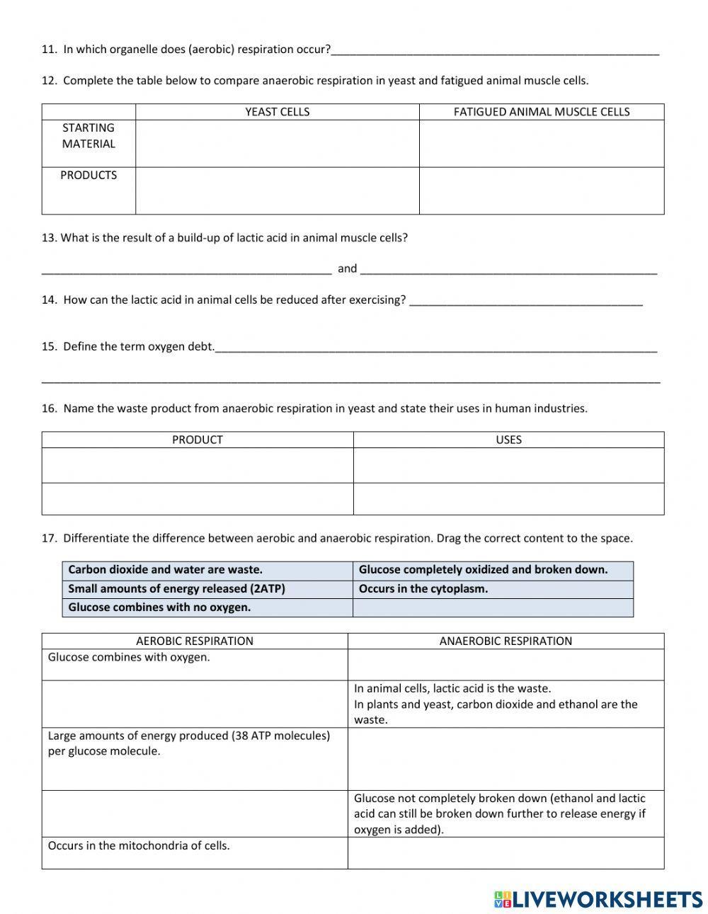 Aerobic and anaerobic respiration