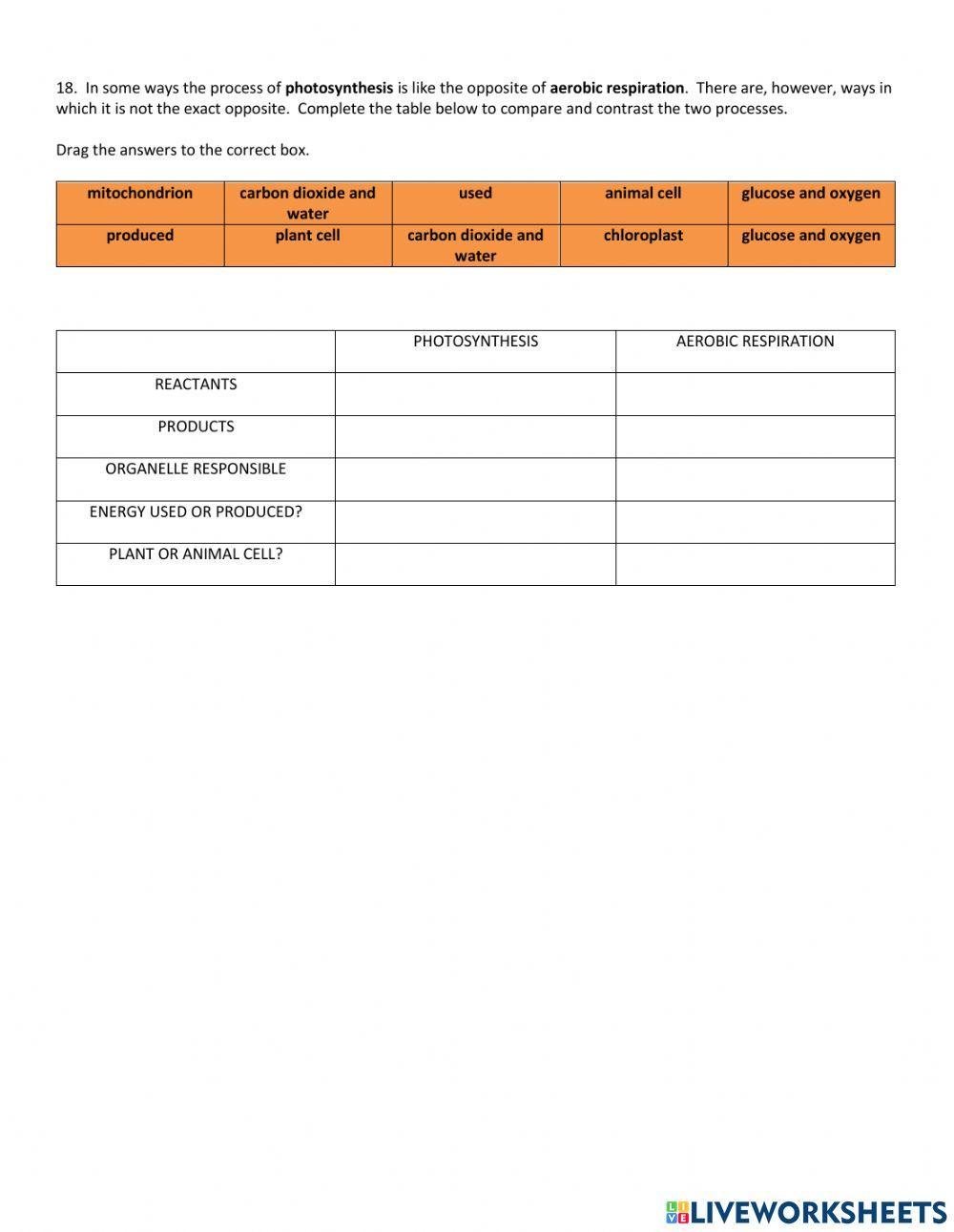 Aerobic and anaerobic respiration