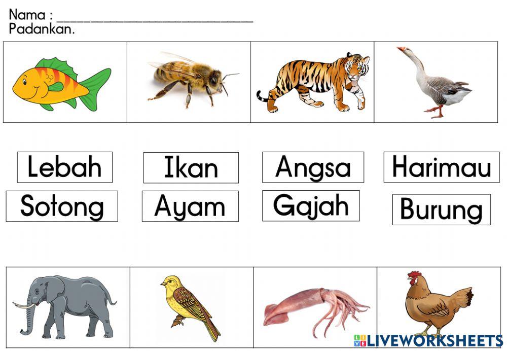 Padankan nama haiwan