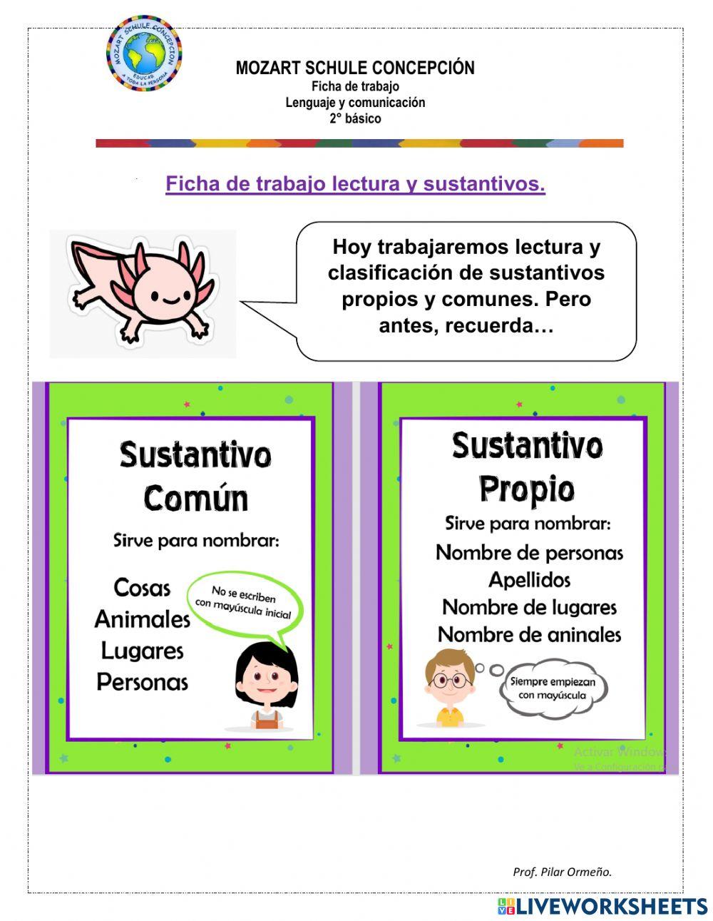 Sustantivos y lectura