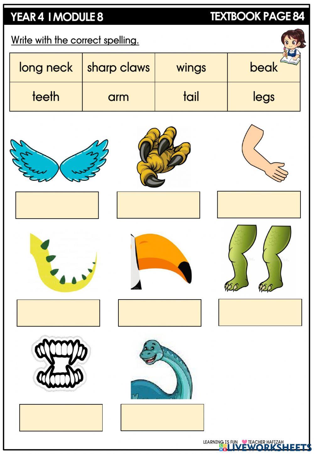 Year 4 - AMAZING ANIMALS - MODULE 8- VOCABULARY - PAGE 84