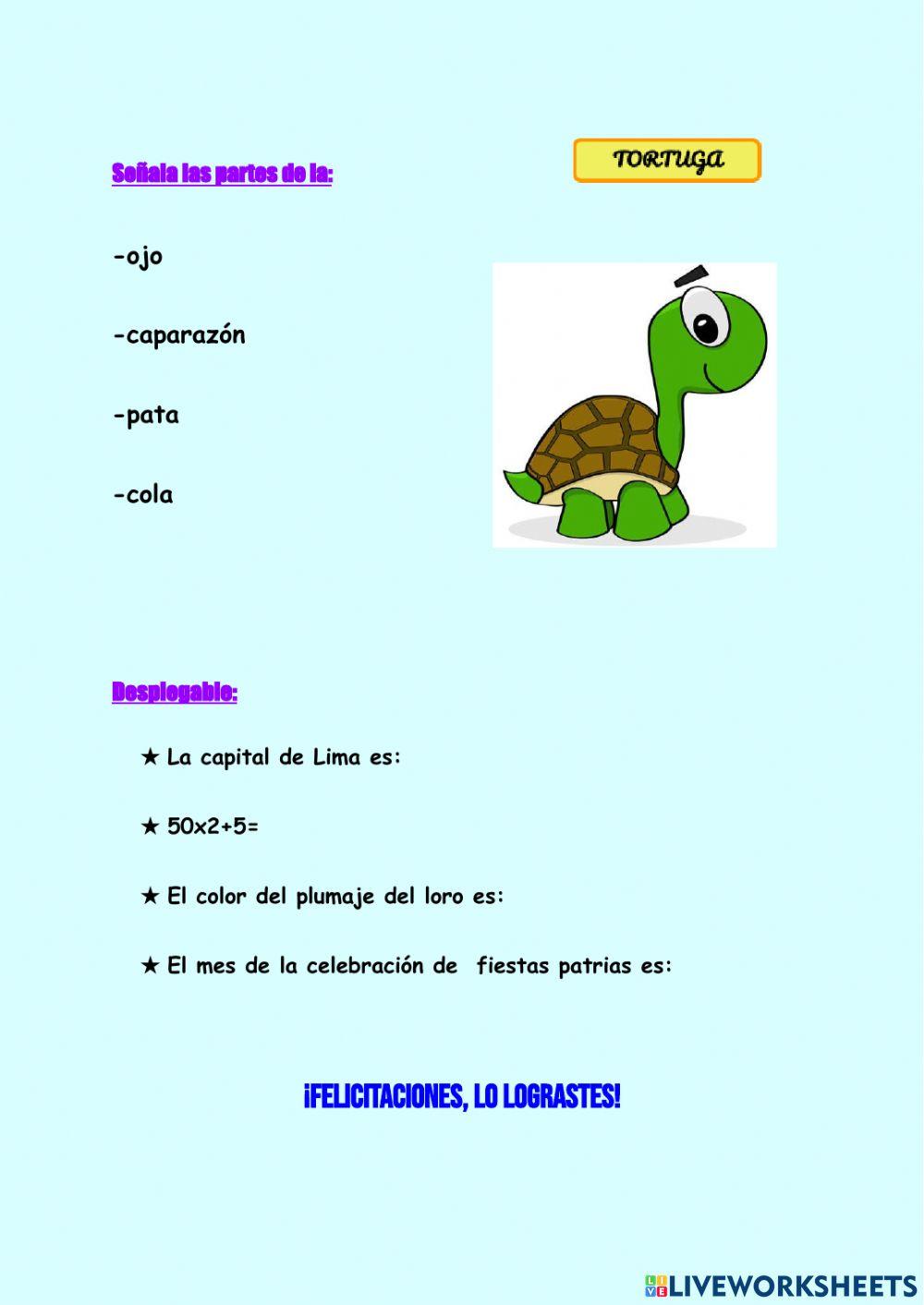 Ficha de conocimiento