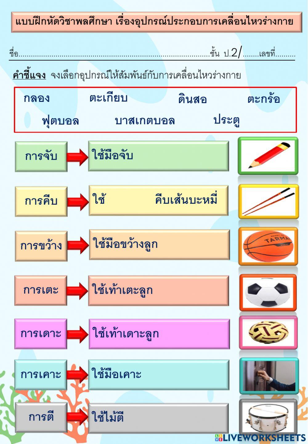 ใบงานอุปกรณ์ประกอบการเคลื่อนไหวของร่างกาย