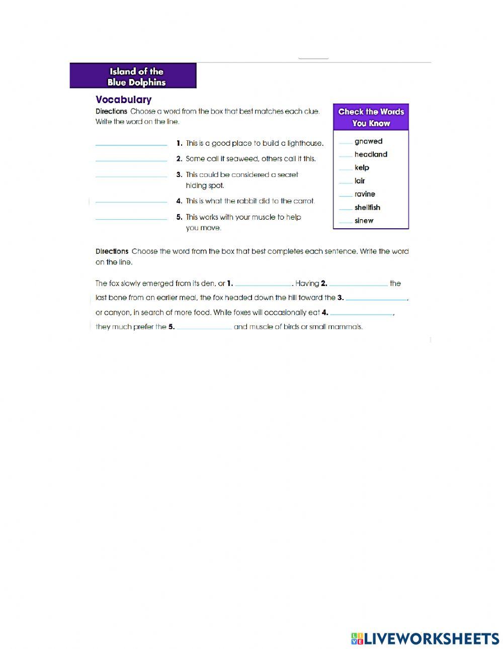5th grade M1 L3 High Frequency Words