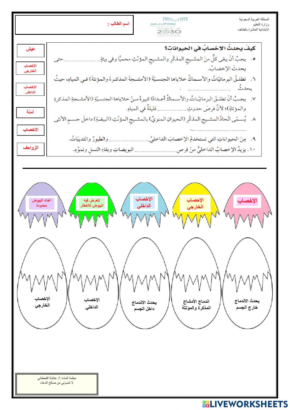 دورات الحياة((الإخصاب))