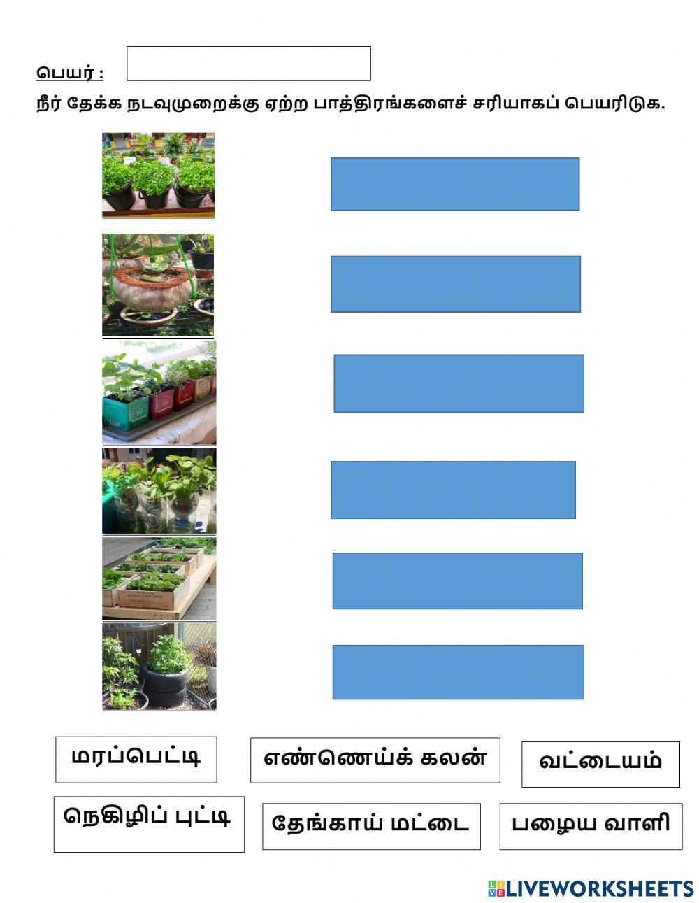 நீர்த்தேக்க நடவு முறைக்கு ஏற்ற பாத்திரங்கள்