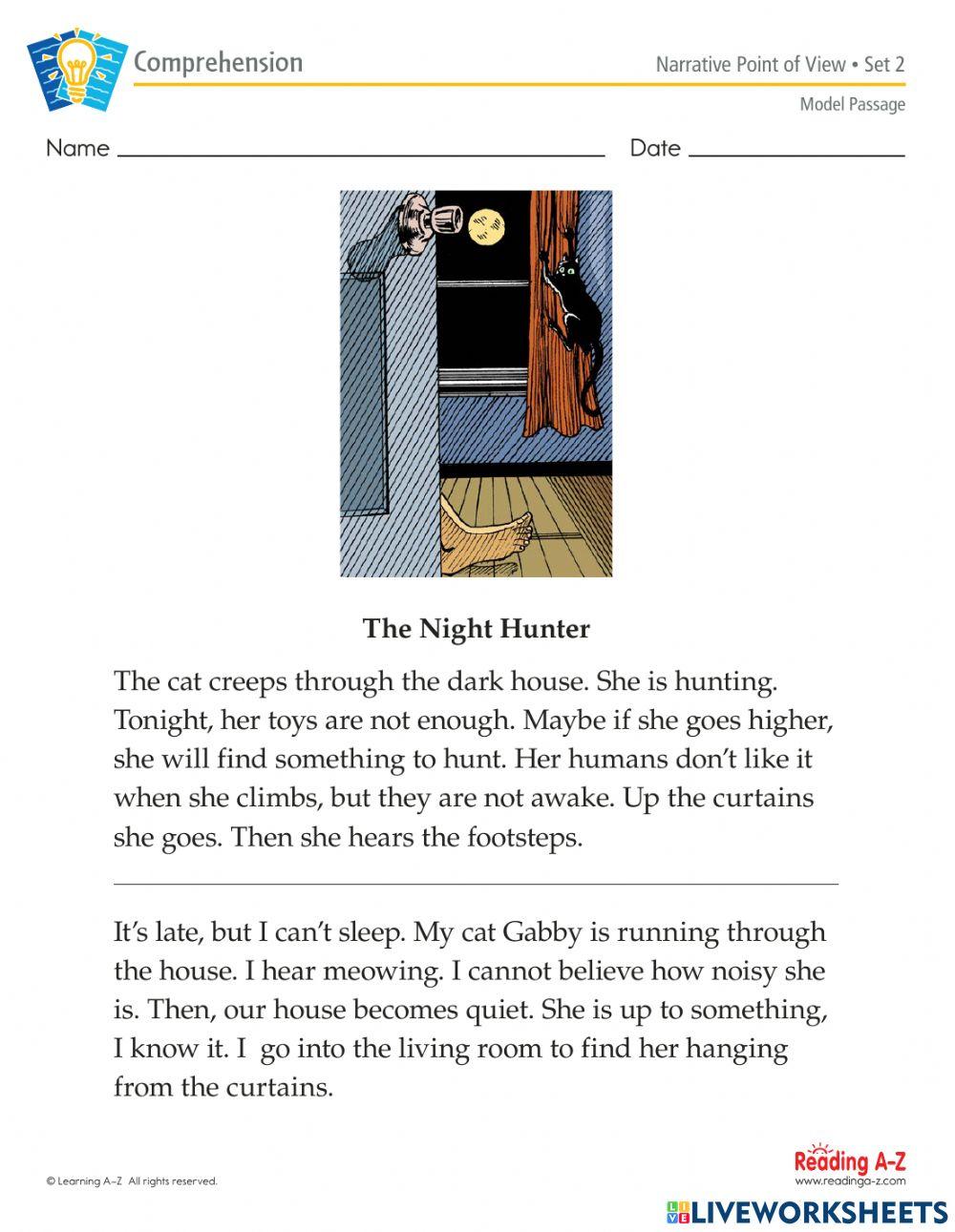 ELA-Point of View-Night Hunter 2 Paragraphs