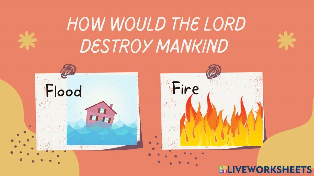 Kids Bible Study (Noah Ark)