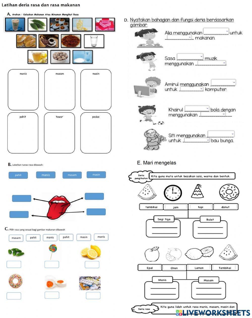 Latihan Deria Manusia