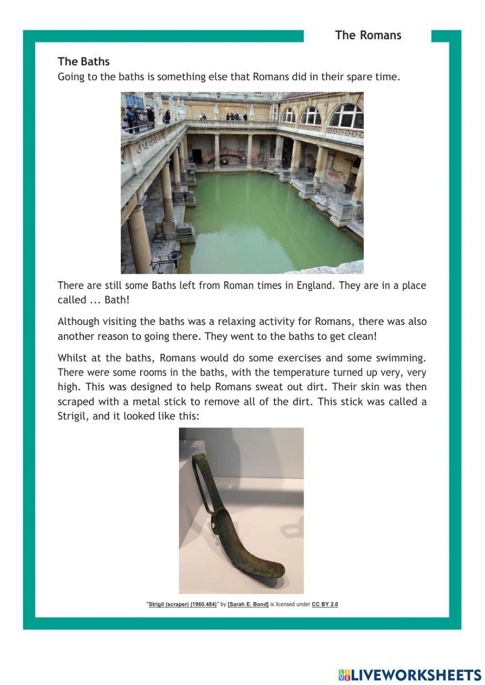 DIS English Term 1 Week 6 Lesson 3 and 4