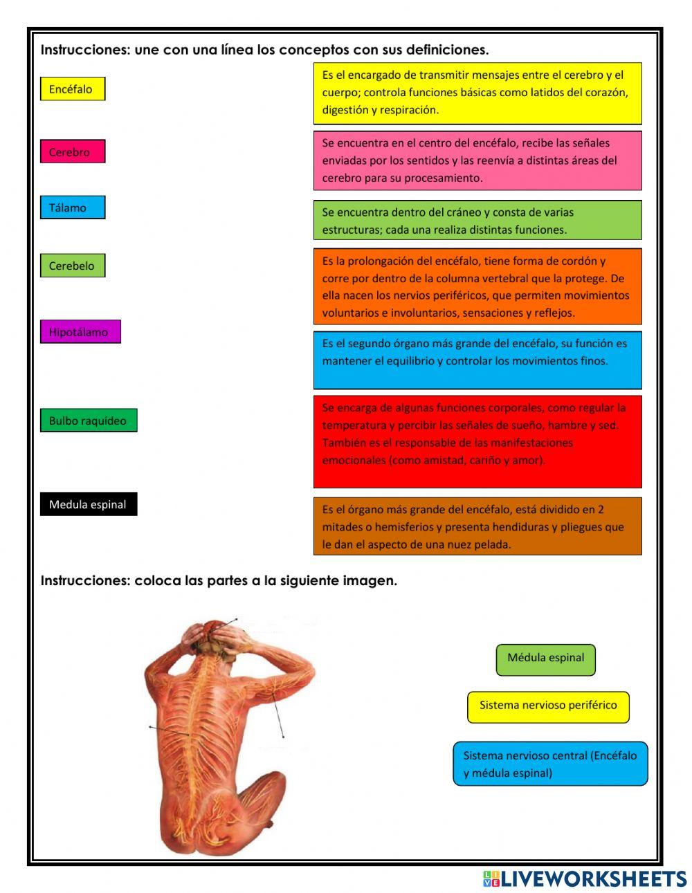 Bloque 1: ¿Cómo mantener la salud?