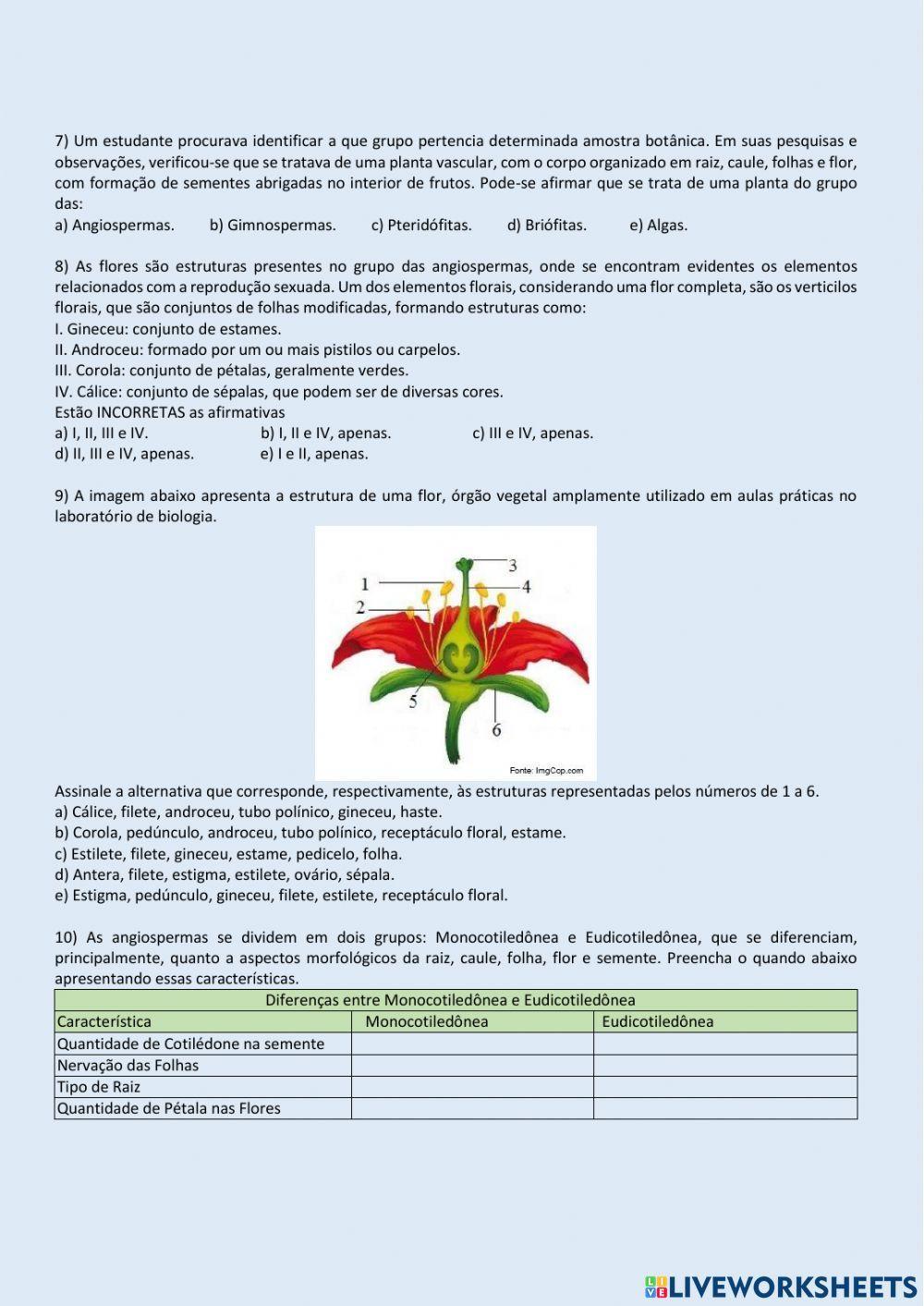 Classificação das Plantas