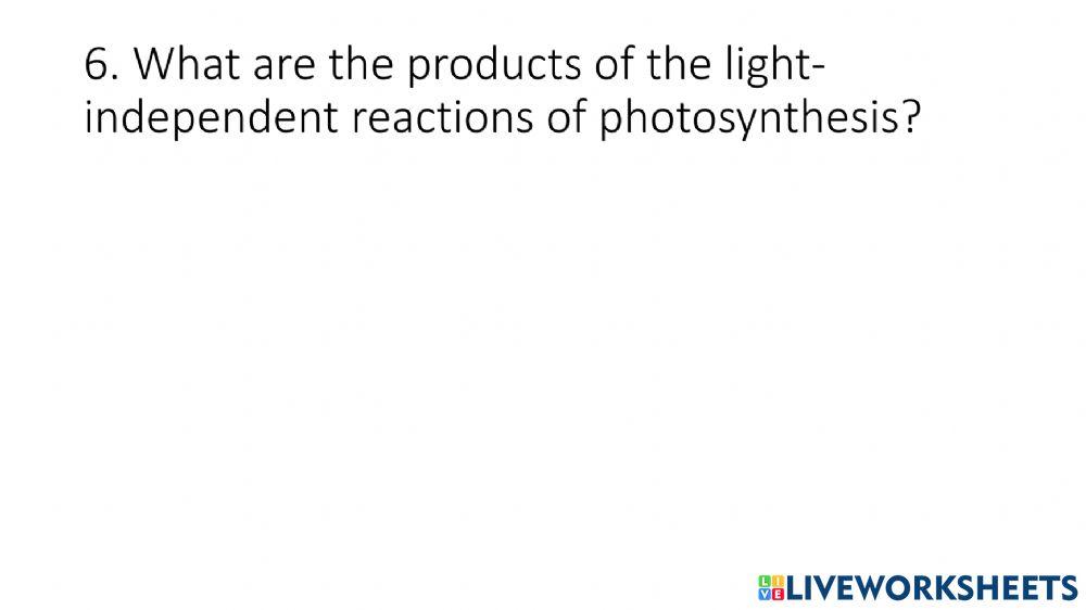 Photosynthesis Gallery Walk