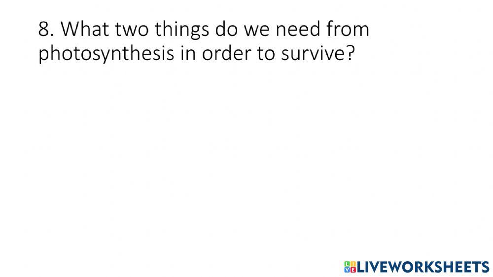 Photosynthesis Gallery Walk