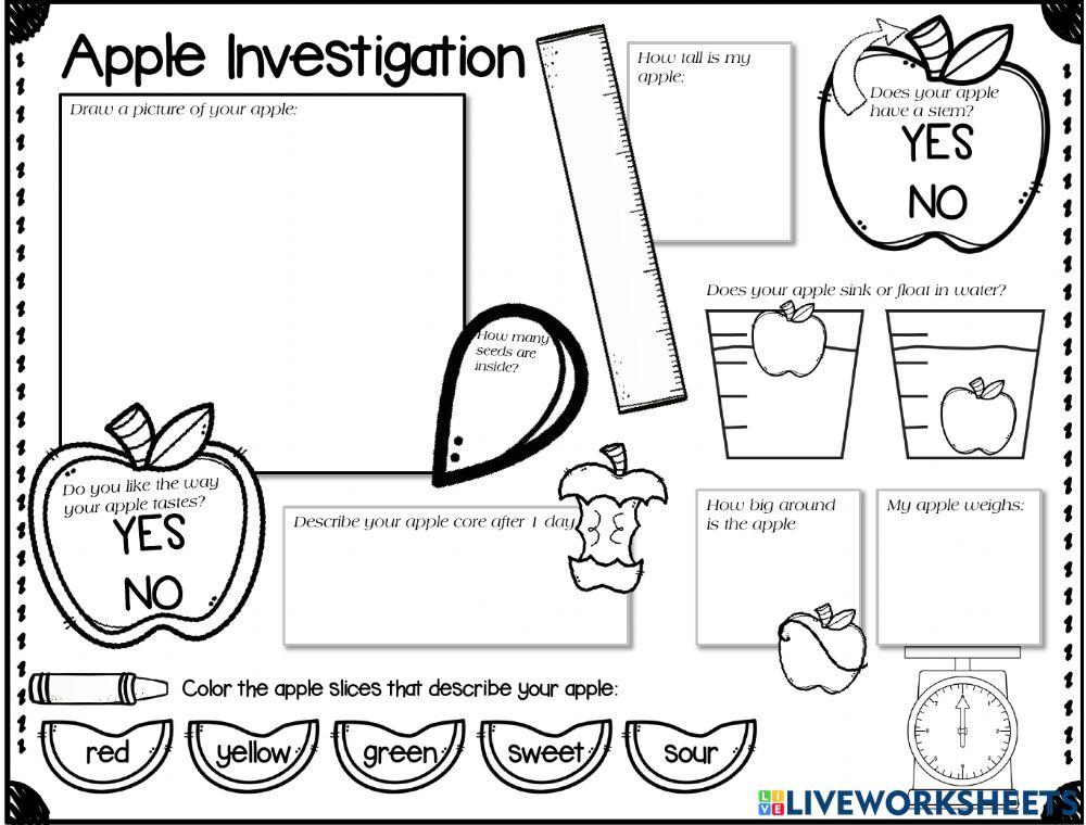Apple Investigation Printable