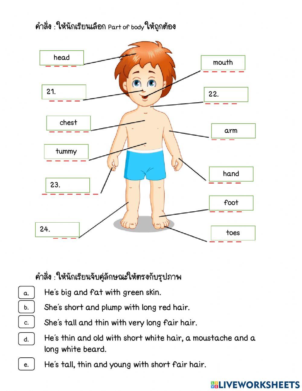 ข้อสอบปลายภาค ม.1