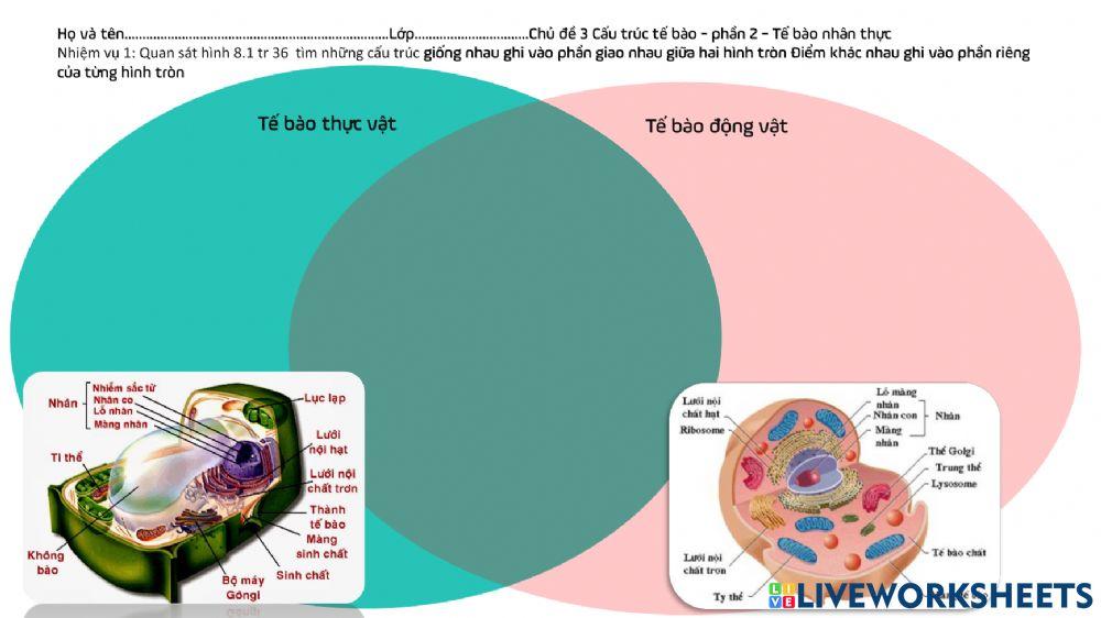 Chủ đề cấu trúc tế bào- tế bào nhân thực