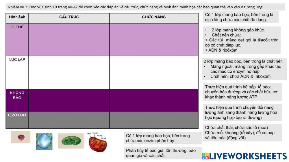 Chủ đề cấu trúc tế bào- tế bào nhân thực