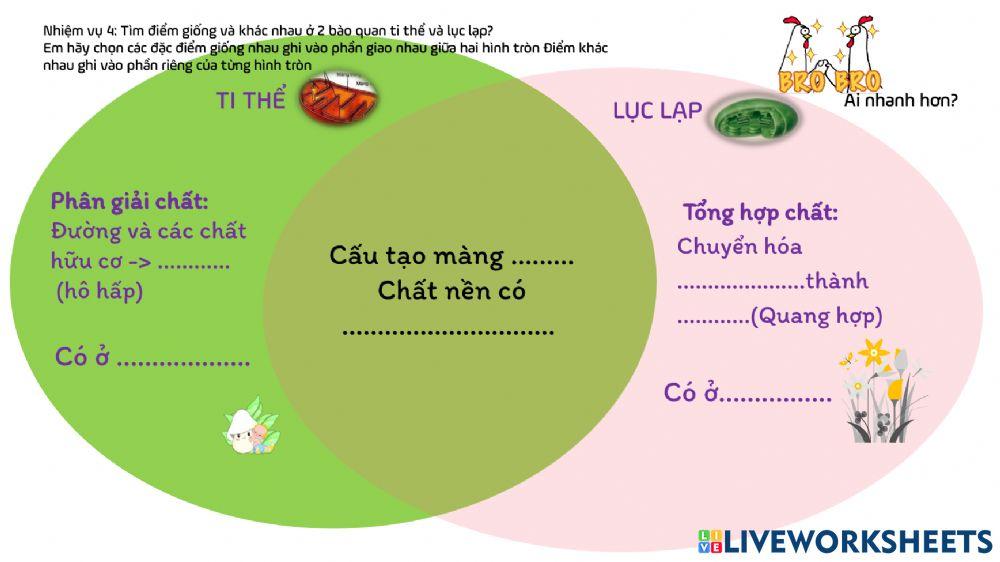 Chủ đề cấu trúc tế bào- tế bào nhân thực