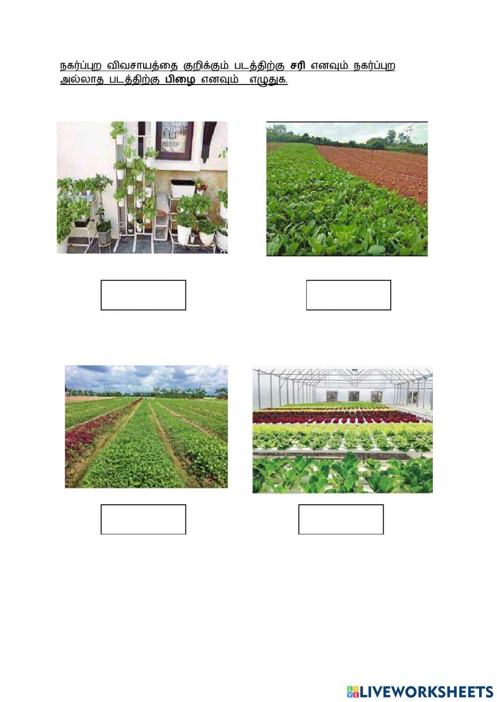 வடிவமைப்பும் தொழிநுட்பமும்