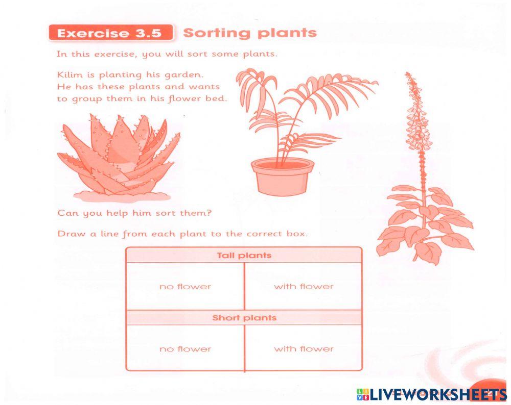 CPS3-Unit 3.5-Activitybook