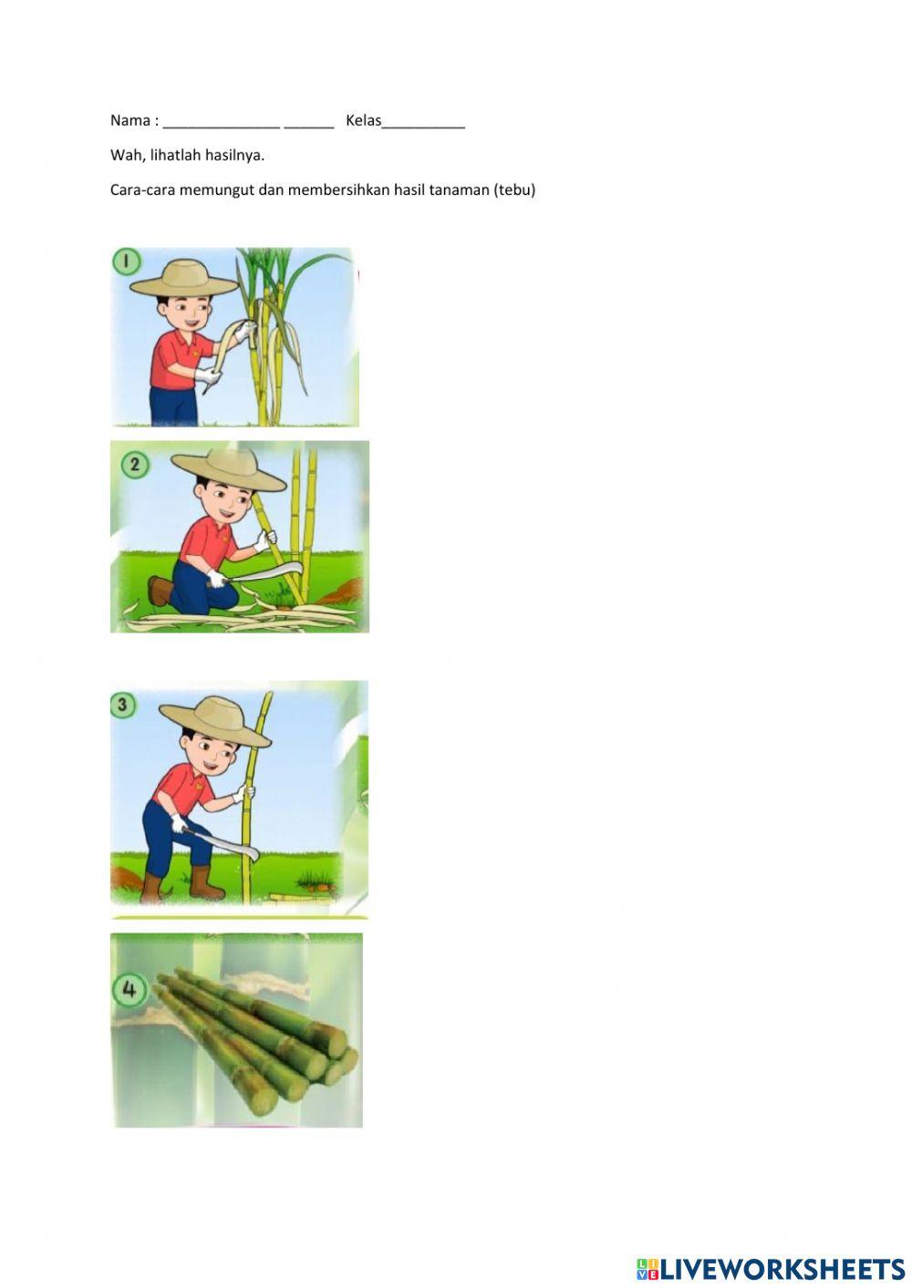 Wah, lihatlah hasilnya.