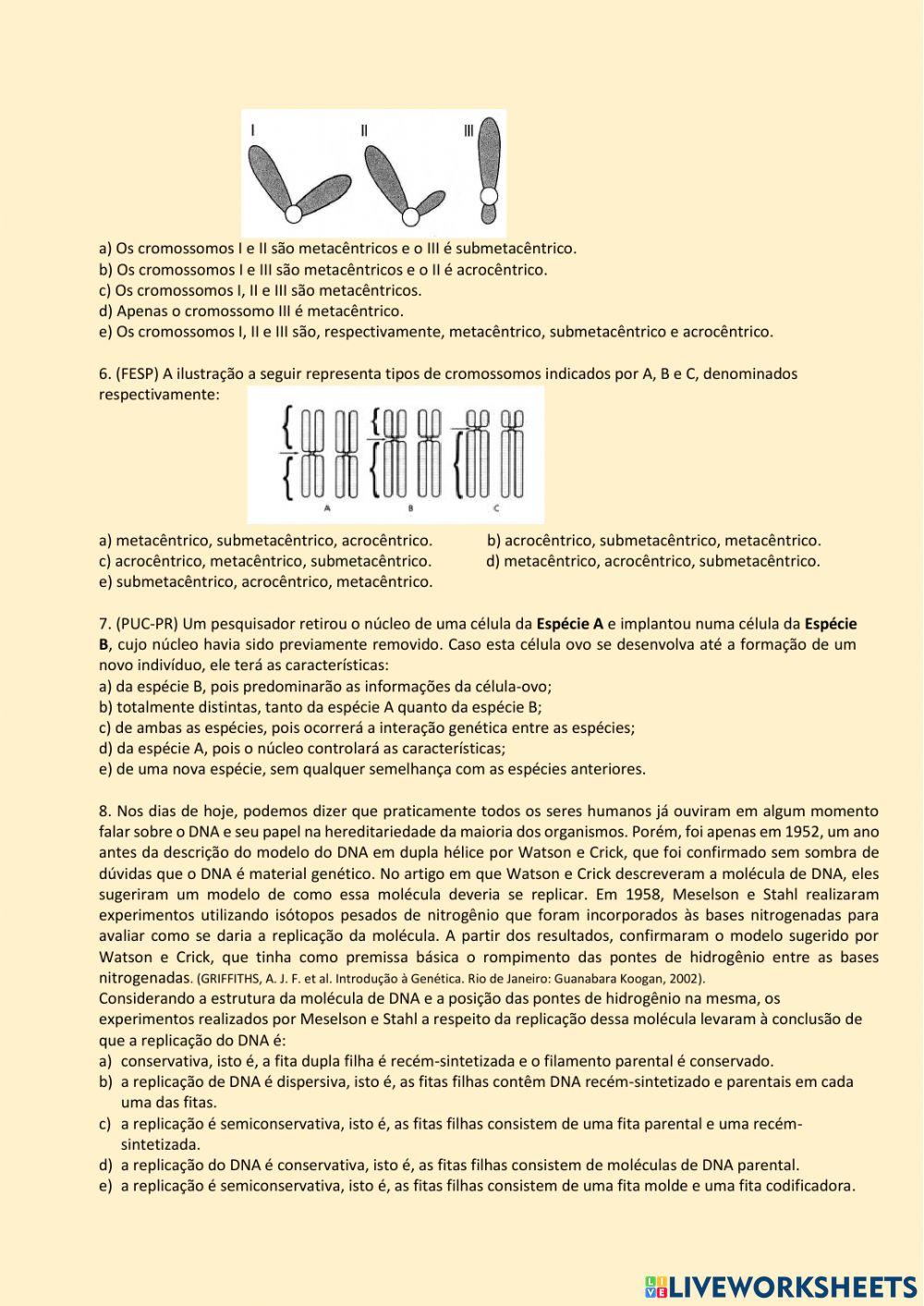 Cromossomo Eucarionte