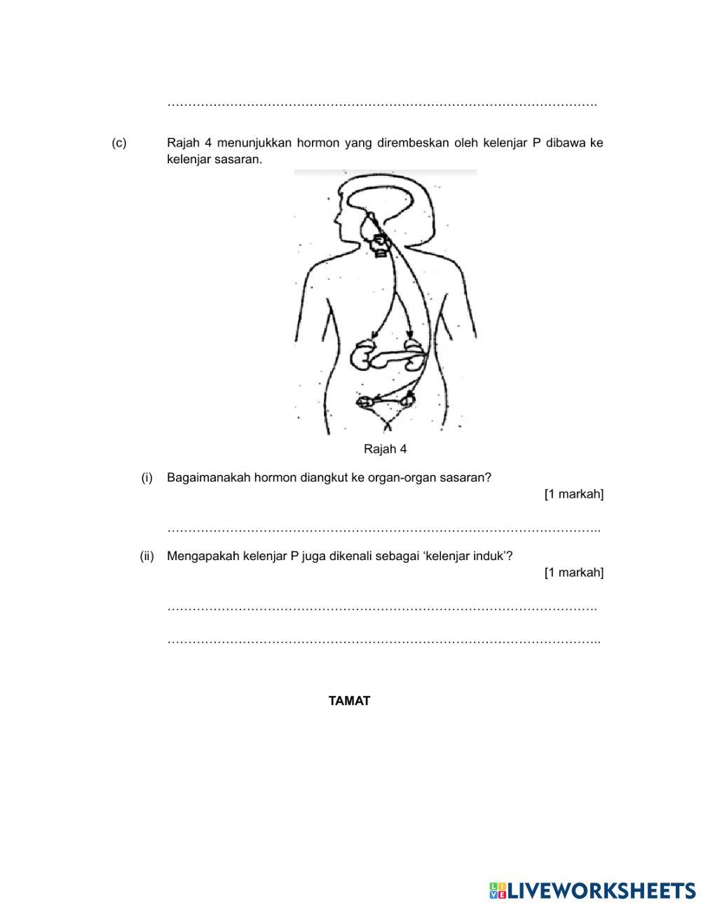 Modul 7.1 Sistem Endokrin Manusia