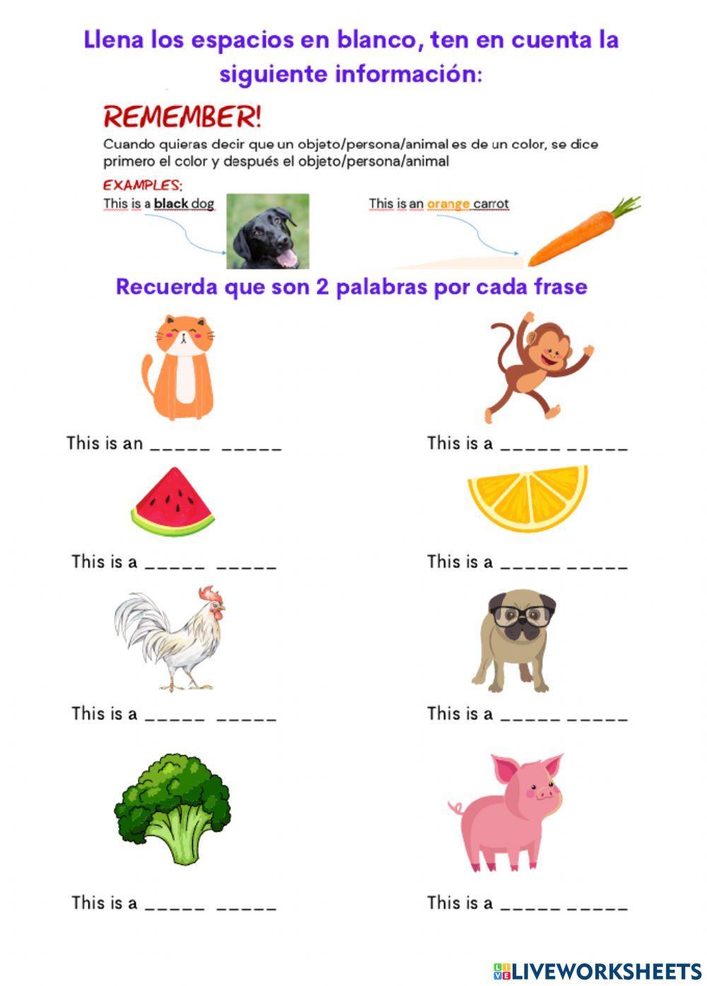 The colors 4th grade