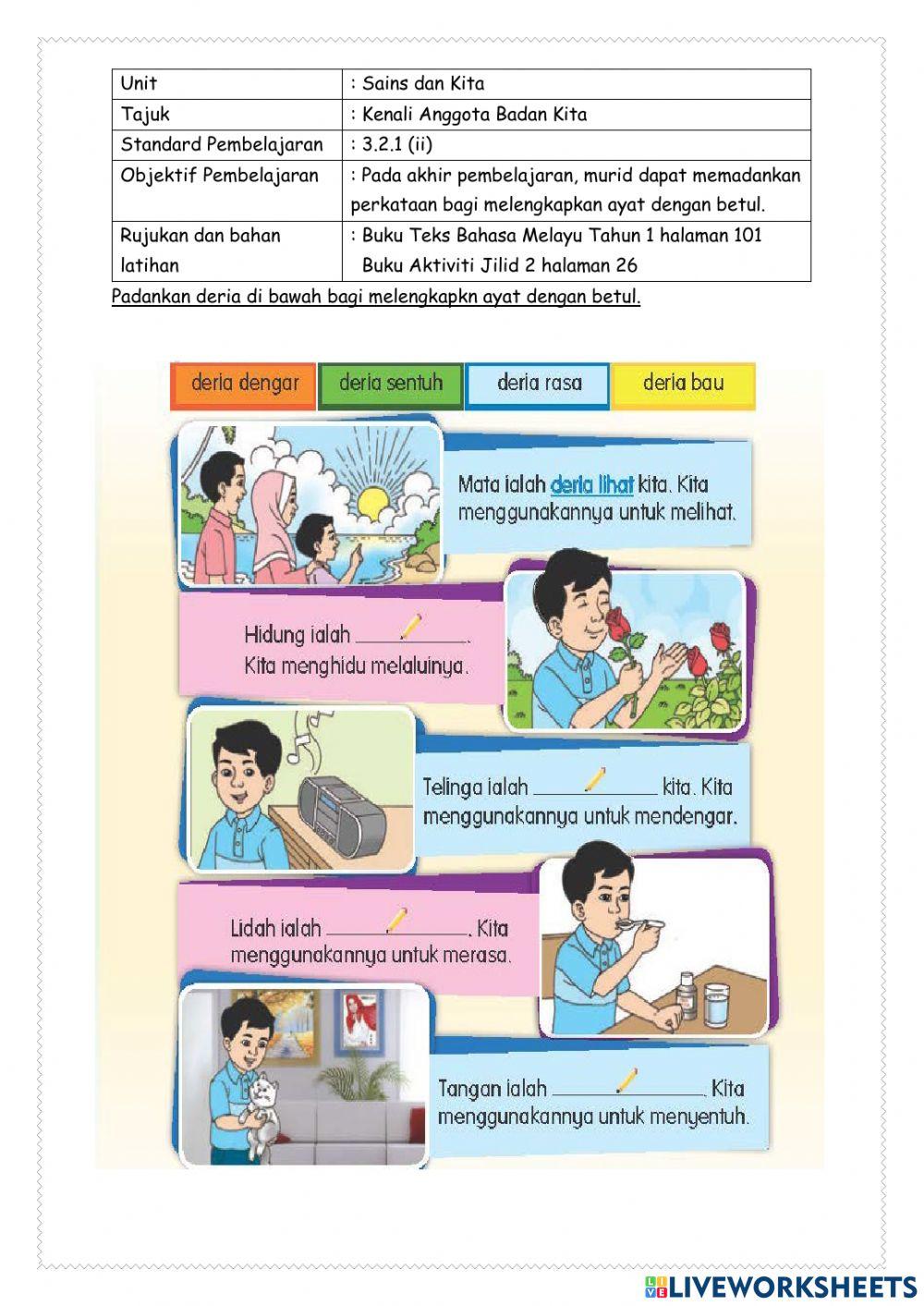 Kenali Anggota Badan Kita