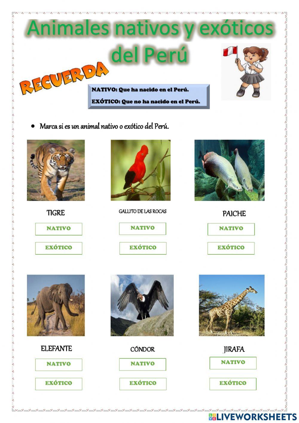 Animales exóticos y nativos.