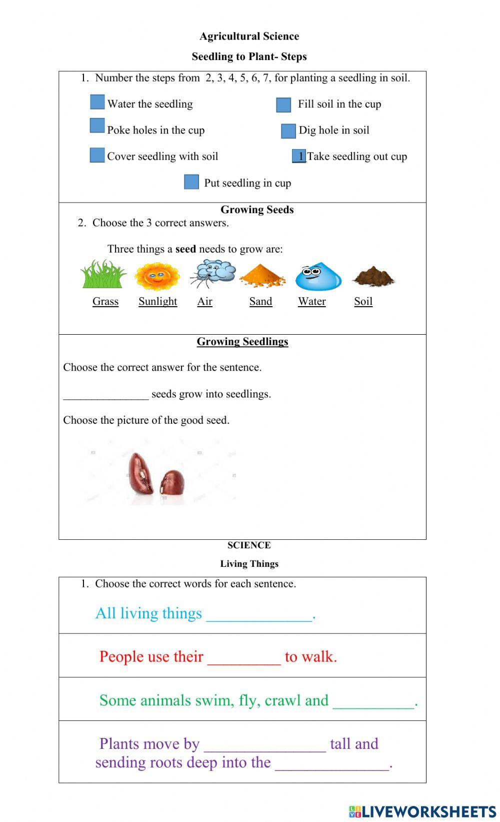 Week 4 term1 weekly test