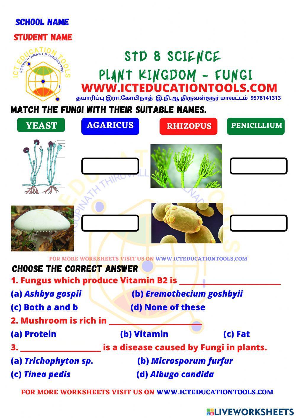 Std 8 science plant kingdom fungi Std 8 science plant kingdom fungi