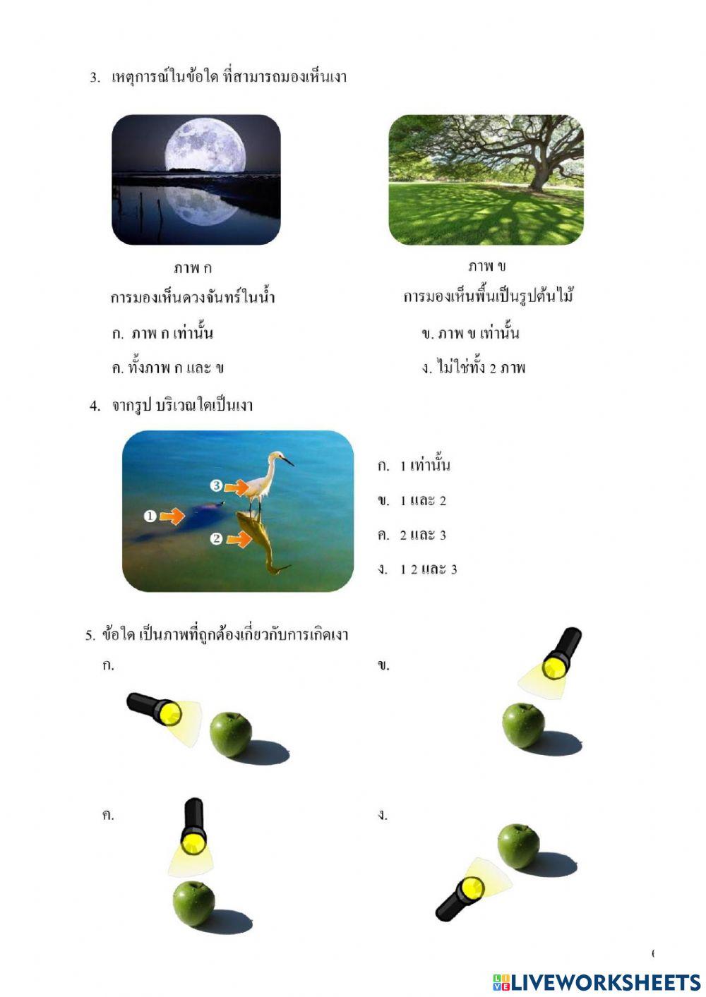 แบบทดสอบท้ายบทเรื่องเงา