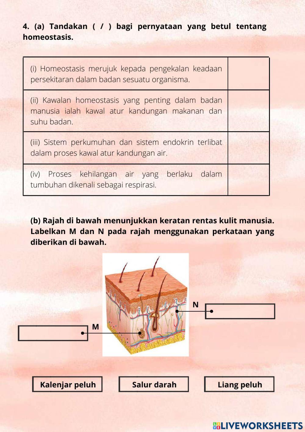 Latihan Sains Tingkatan 1 Bab 2