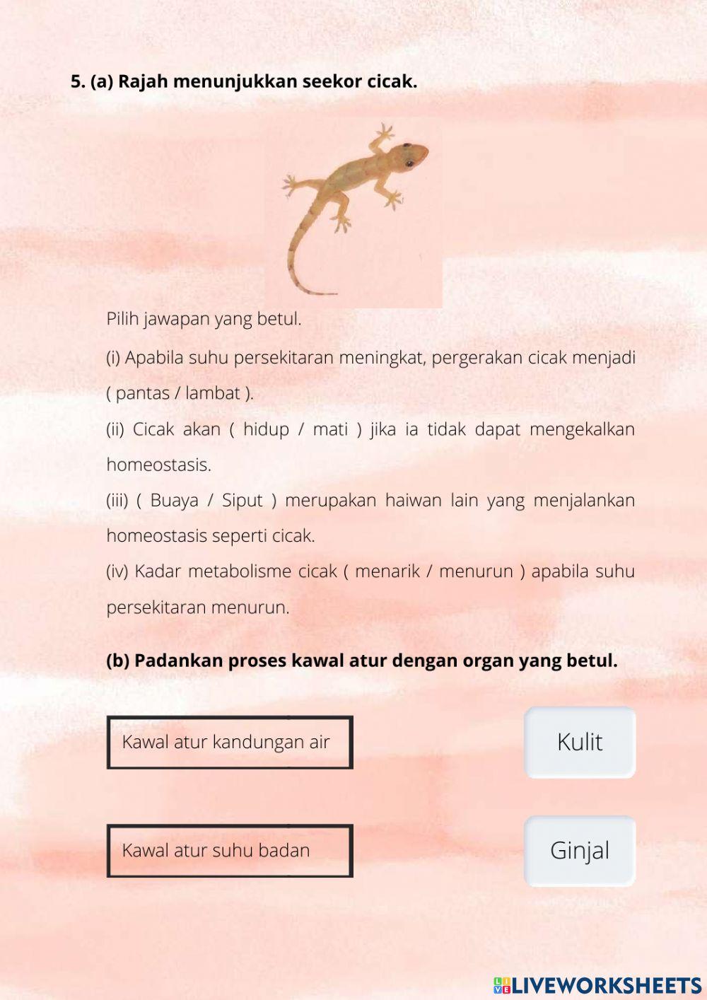 Latihan Sains Tingkatan 1 Bab 2