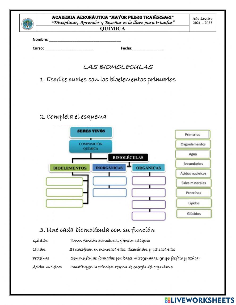 Biomoleculas