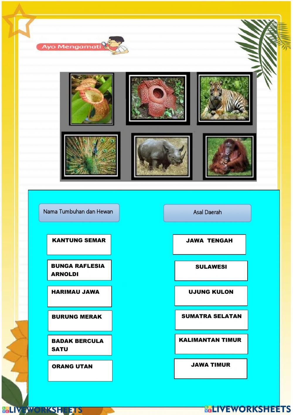 Upaya Pelestarian Hewan dan Tumbuhan