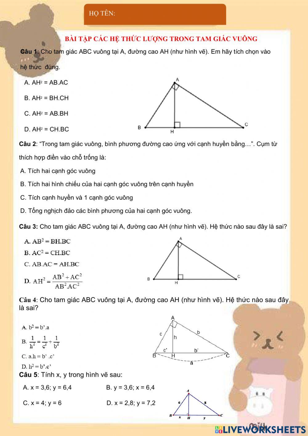 Hệ thức lượng trong tam giác vuông