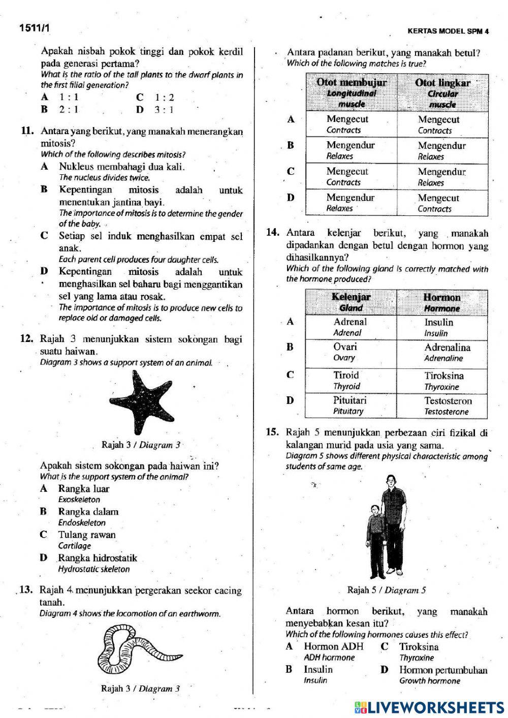 SAINS KSSM -  PELANGI KERTAS 1 SET 4