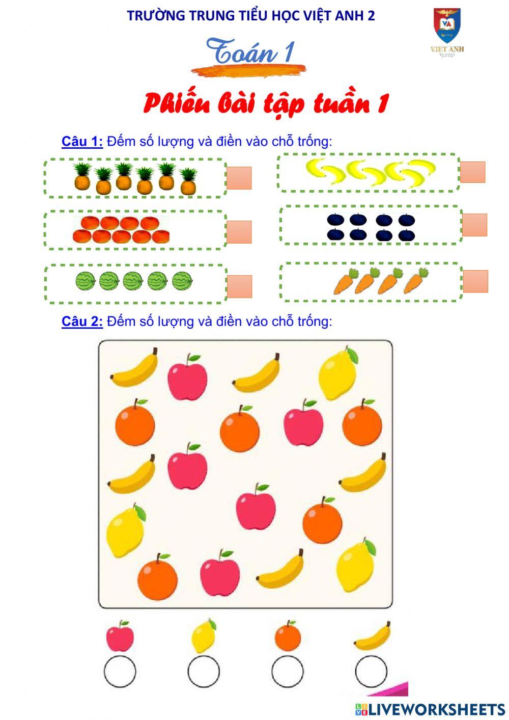 Phiếu bài tập tuần 1