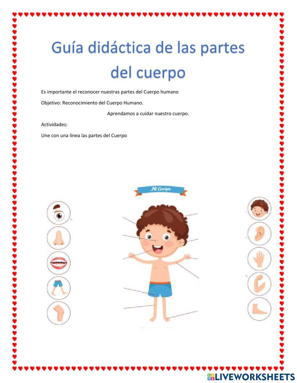 Partes del Cuerpo