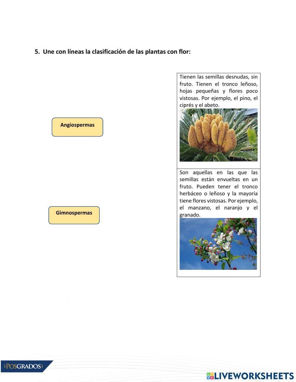 Evaluación Formativa CCNN