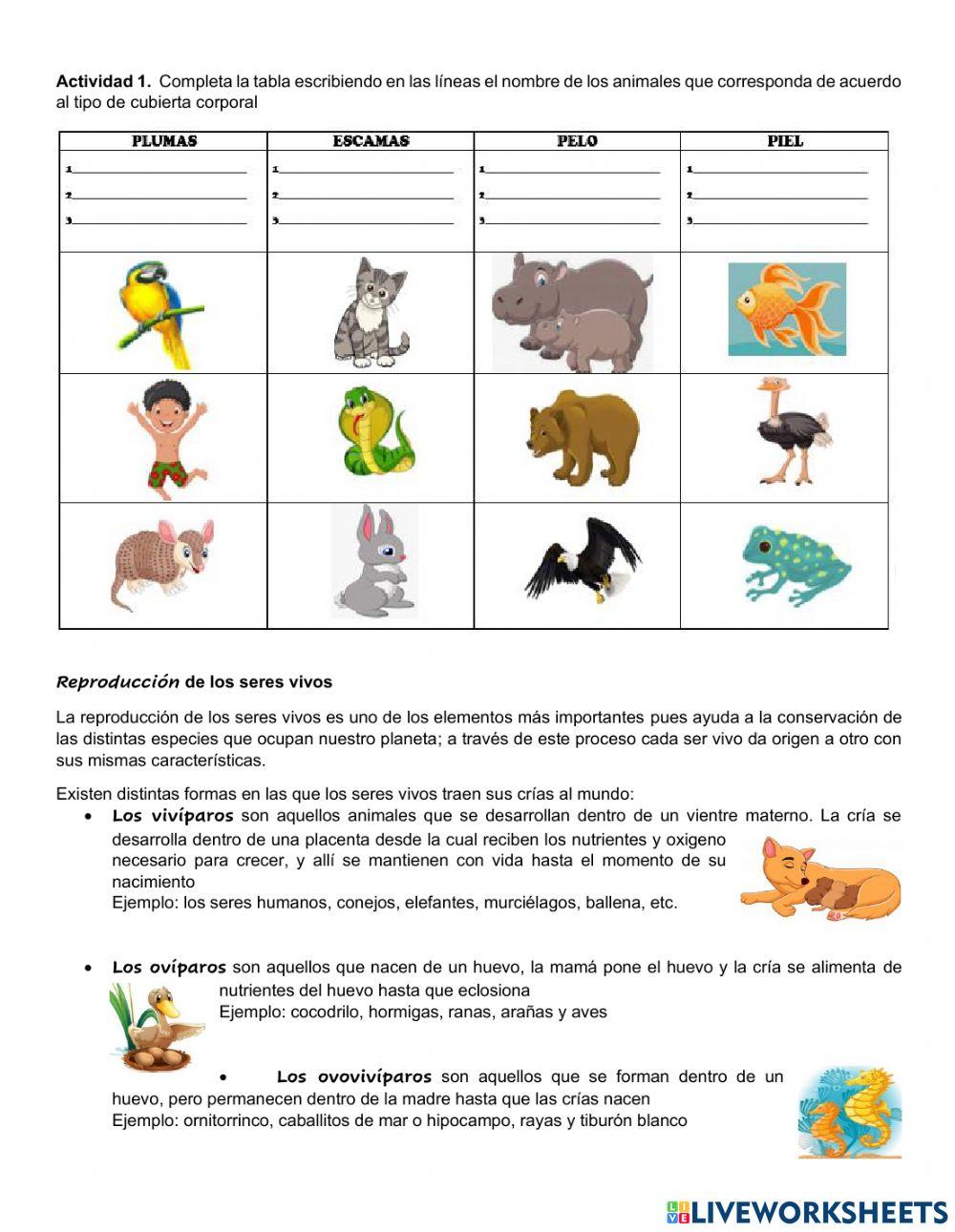 Componente social y biológico