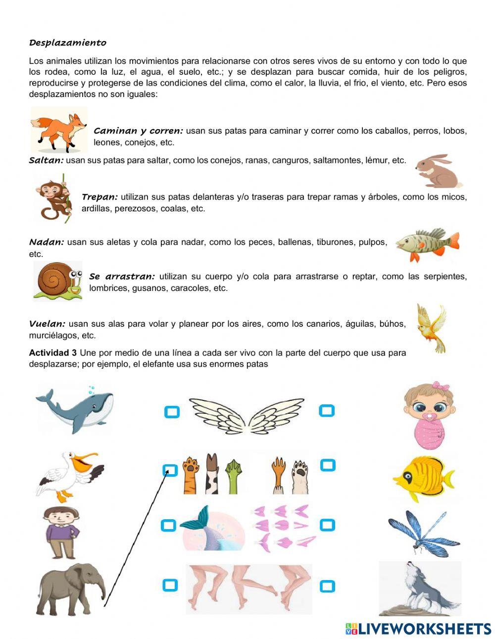 Componente social y biológico