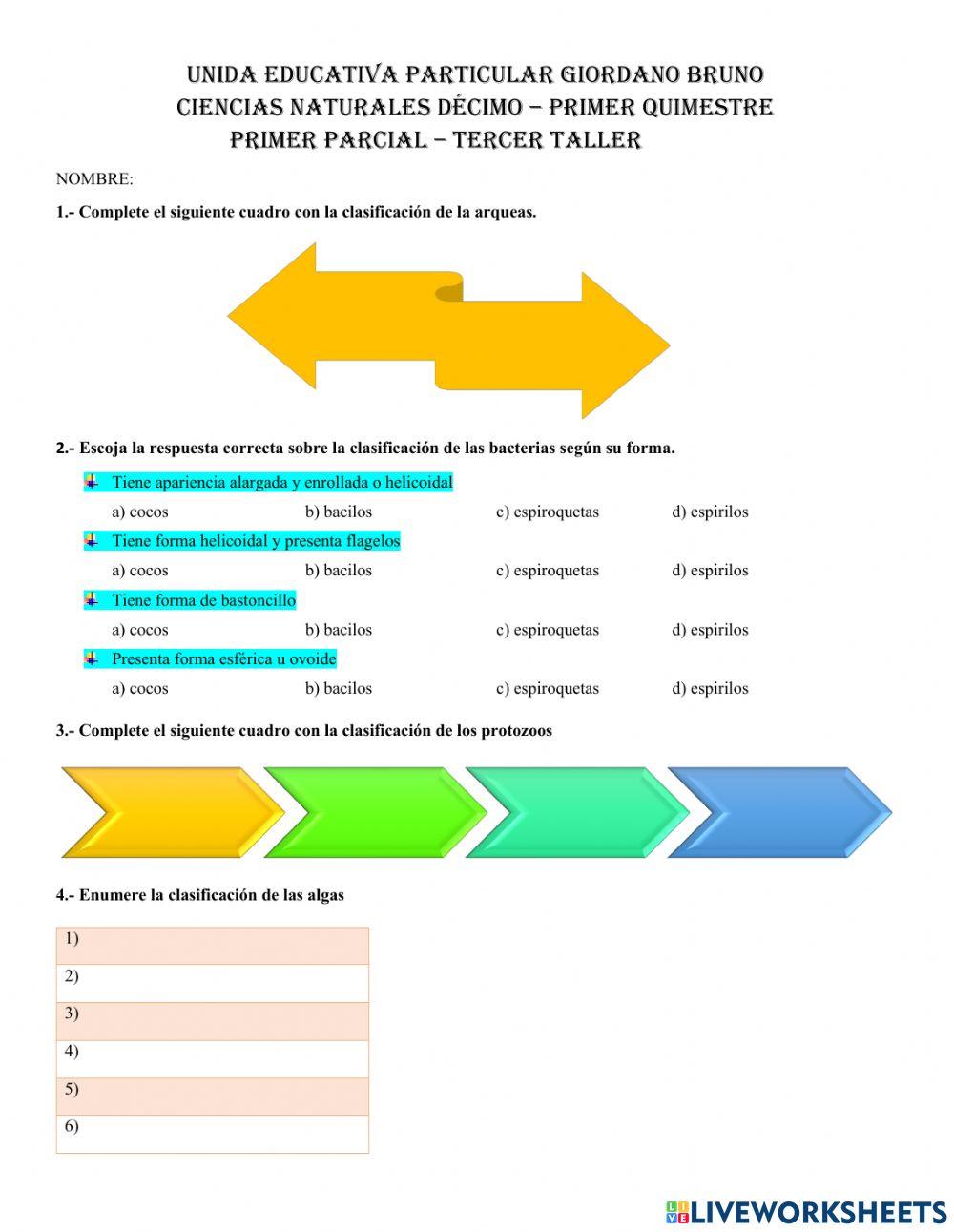 Clasificacion protistas