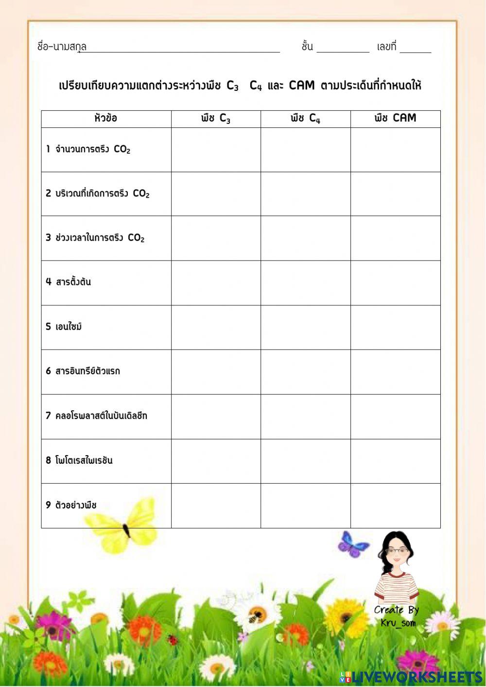 พืช c3 c4 และ cam