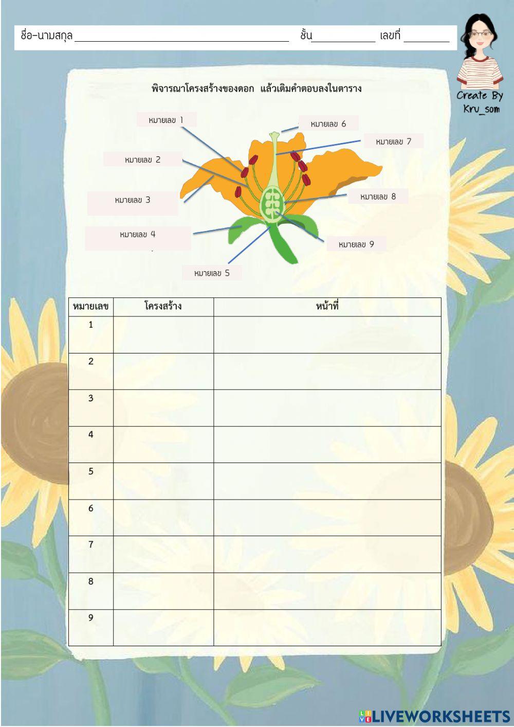 โครงสร้างและหน้าที่ของดอก