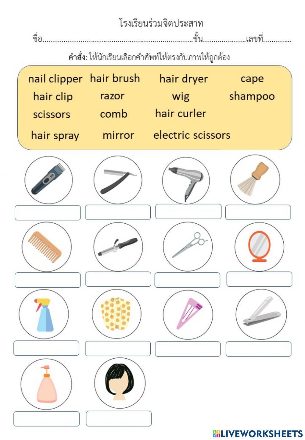 เลือกตอบป.4-6